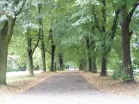 Pałac